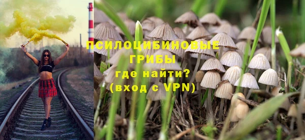 мдпв Алзамай