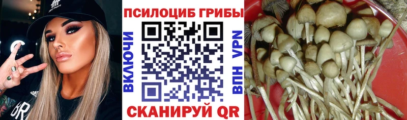 маркетплейс состав  Череповец  Псилоцибиновые грибы прущие грибы  где купить  