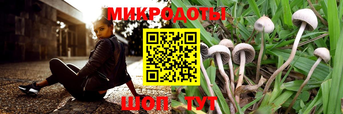 Псилоцибиновые грибы мицелий  Вход с VPN  Череповец 
